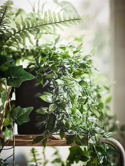 بوته گیاه مصنوعی ایکیا