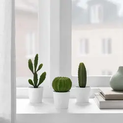 کاکتوس سه عددی ایکیا  FEJKA