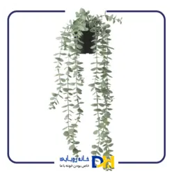 گلدان اکالیپتوس ایکیا