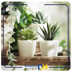 بوته اکالیپتوس۳تایی ایکیا FEJKA - گالری خانه رویایی