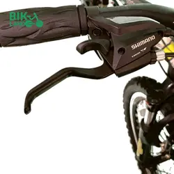 دوچرخه ویوا مدل اسپینر SPINNER سایز 20