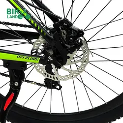 دوچرخه اورلرد مدل WARRIOR ATX 1.0-D سایز 29