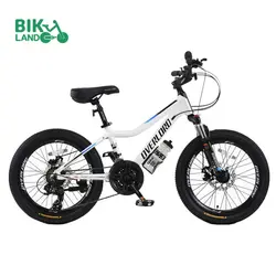 دوچرخه کودک اورلرد مدل O101-D سایز 20