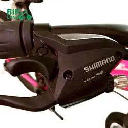 دوچرخه دخترانه هانتر مدل H502 سایز 24