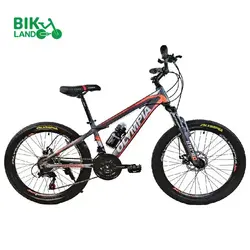 دوچرخه المپیا مدل Winner-D سایز 24