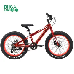 دوچرخه کافیدیس مدل اسمارت ساحلی سایز 20