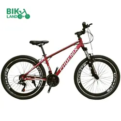 دوچرخه فونیکس مدل SKYLINE سایز 26