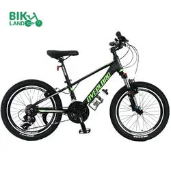 دوچرخه کودک اورلرد مدل PANAMERA-V سایز 20