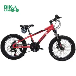 دوچرخه بچه گانه اینتنس مدل CHAMPION 4D سایز 20