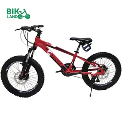 دوچرخه بچه گانه اینتنس مدل CHAMPION 4D سایز 20