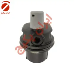ایرونت گرانفوس