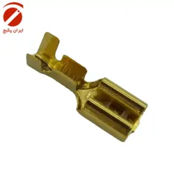 فیش کولری