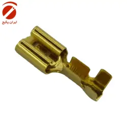 فیش کولری
