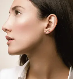 ستاره اردیبهشت(گاو نر/ثور-Taurus)