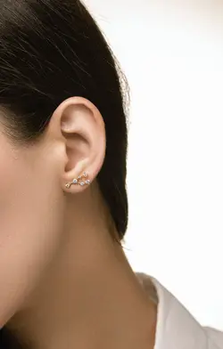 ستاره اردیبهشت(گاو نر/ثور-Taurus)