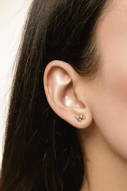 ستاره اردیبهشت(گاو نر/ثور-Taurus)