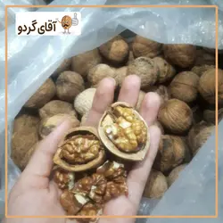 گردو مراغه ❤️ خرید گردو ارزان با کیفیت - فروشگاه آقای گردو