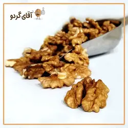 مغز گردو معمولی خرید با بهترین قیمت - فروشگاه آقای گردو