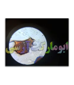 میکروسکوپ اپتیکال 1200 برابر زوم بهمراه تجهیزات و نگهدارنده موبایل