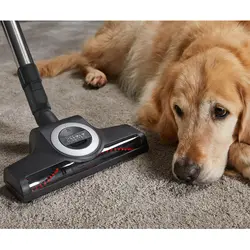 جاروبرقی میله مدل SGEF3 C3 Cat &amp; Dog