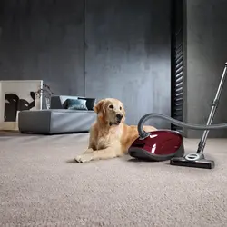 جاروبرقی میله مدل SGEF3 C3 Cat &amp; Dog