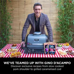 گریل و باربیکیو نینجا مدل OG701UK