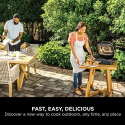 گریل و باربیکیو نینجا مدل OG701UK