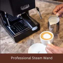 اسپرسوساز گاگیا مدل CLASSIC EVO