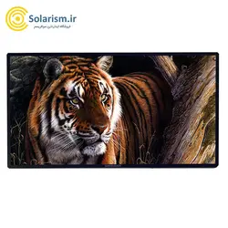 تلویزیون لمسی ۴۳ اینچ سی تاچ (seeTouch) مدل TSH43