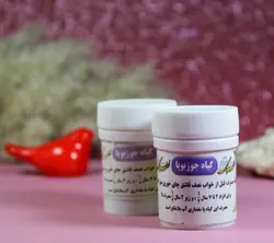 گیاه جوزبویا