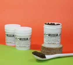 گیاه منداب (سودابر)