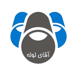 لیتر شمار گازوئیل مکانیکی سایز 1 اینچ برند ووزل WOZEL