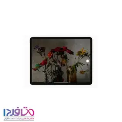 تبلت اپل 11 اینچ مدل IPad Pro سلولار ظرفیت 128GB