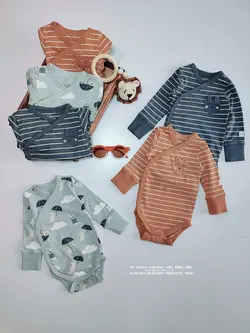 بادی لیندکس