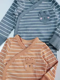 بادی لیندکس