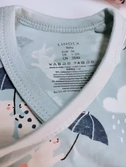 بادی لیندکس