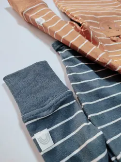 بادی لیندکس