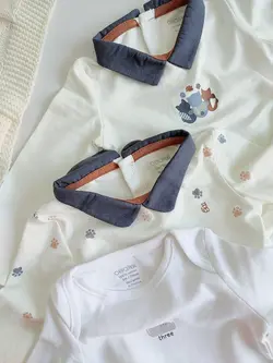 بادی اوبیبی