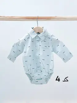 بادی کارترز