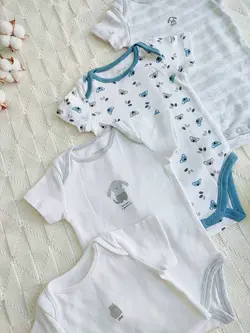 بادی اوبیبی