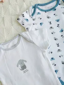 بادی اوبیبی