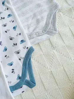 بادی اوبیبی