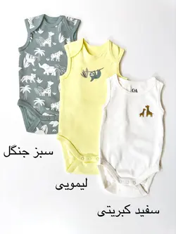 بادی C&amp;A