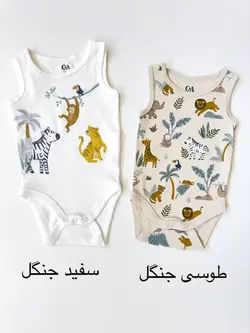 بادی C&amp;A