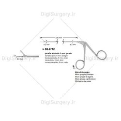 فورسپس میكرو حنجره, 20 سانت, مستقیم