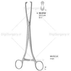 تناكلوم موزوكس, 23 سانت