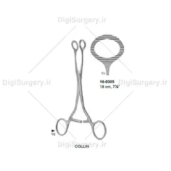 پنس كولین, 18 سانت