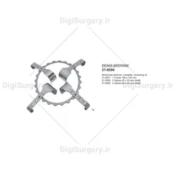 اكارتور شكمی سویفت جولی (دنیس بران), 6 پر