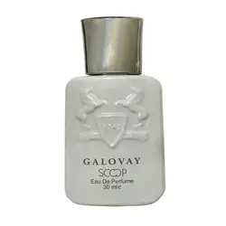 ادوپرفیوم مردانه اسکوپ مدل GALOVAY حجم 30 میلی لیتر