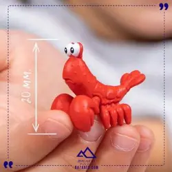 لاک پشت و خرچنگ پسر دلفيني